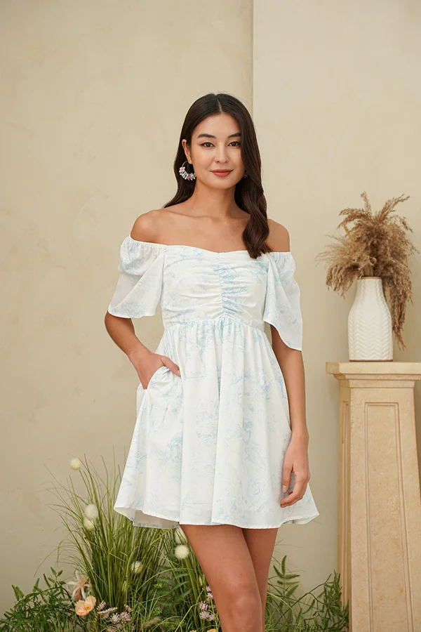 Toile Pastures Ruched Babydoll Dress Blue