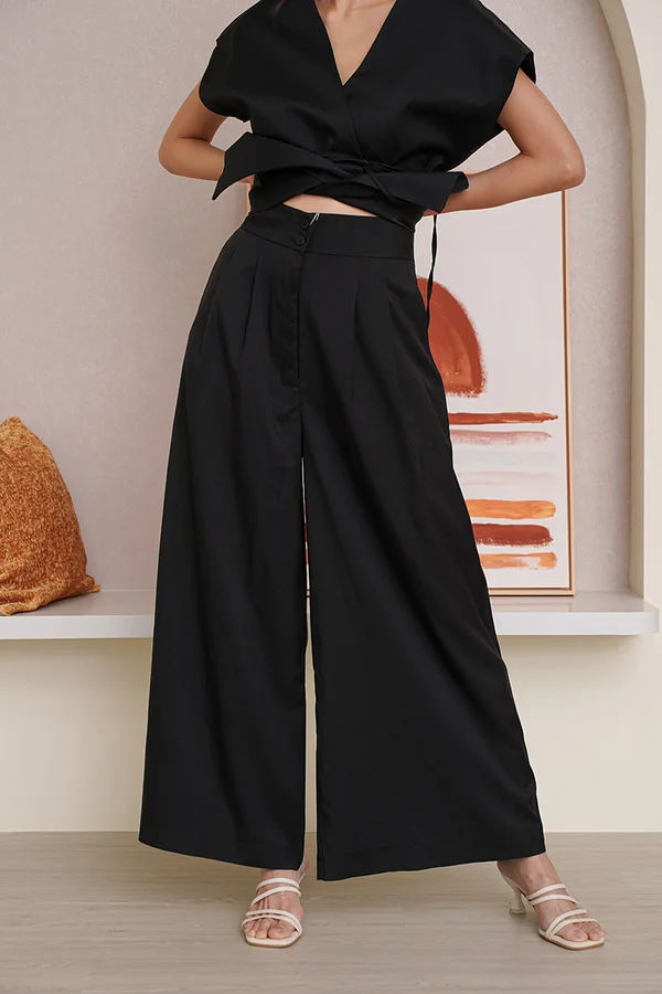 Unparalleled Parity Pleated Palazzo Pants Black