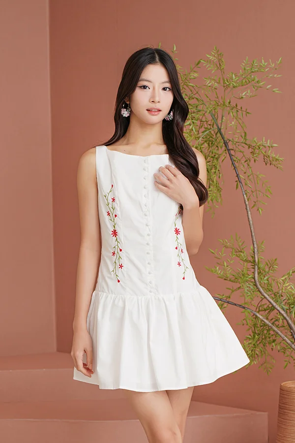 Embroidered Prose Button Dropwaist Dress